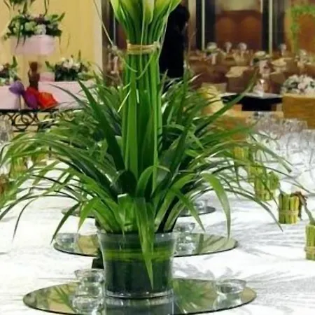 Double Royal Hotel 4*