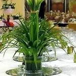 Double Royal Hotel 4*